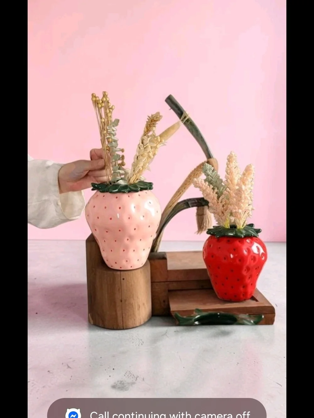 RED Strawberry Plastic Planter - Makeup Holder Red